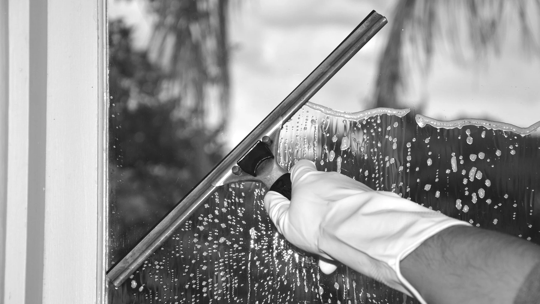 A gloved hand drawing a squeegee down a soaped window, the clean edge running ahead of the blade.